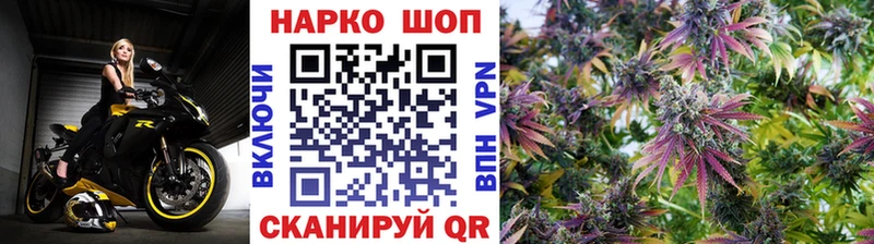 Купить наркоту Заводоуковск Псилоцибиновые грибы Каннабис Меф ГАШИШ