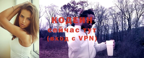 стаф Лабытнанги