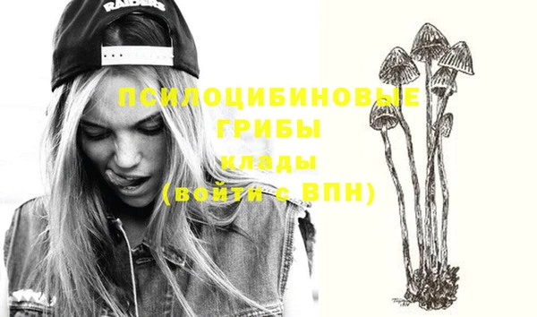 трава Волоколамск