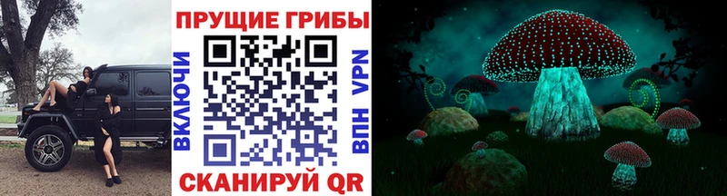 Галлюциногенные грибы Psilocybine cubensis  Заводоуковск 
